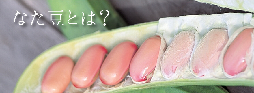 なた豆とは？