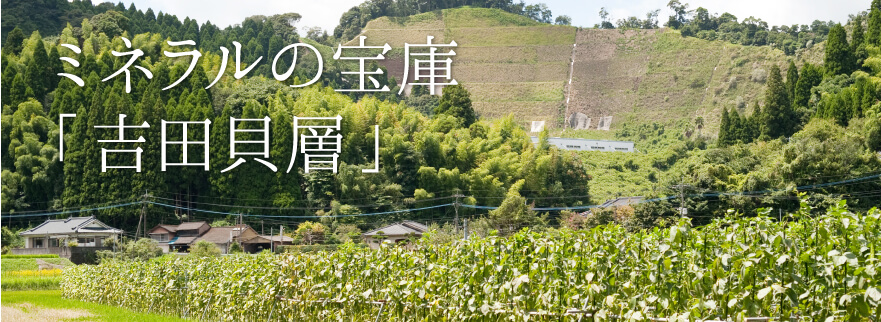 ミネラルの宝庫「吉田貝層」
