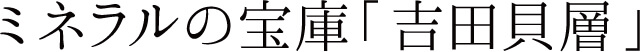 ミネラルの宝庫「吉田貝層」