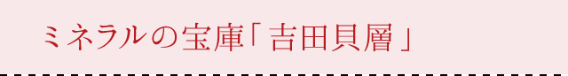 ミネラルの宝庫「吉田貝層」