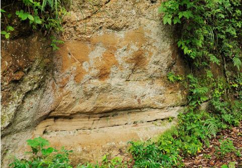 栄養たっぷり遺産の恵み