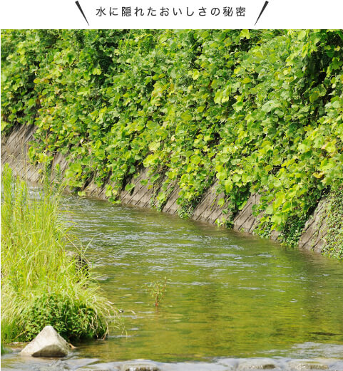 水にかくれたおいしさの秘密